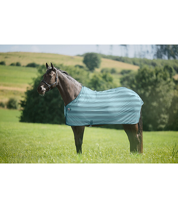 Fly Rug Economy Light
