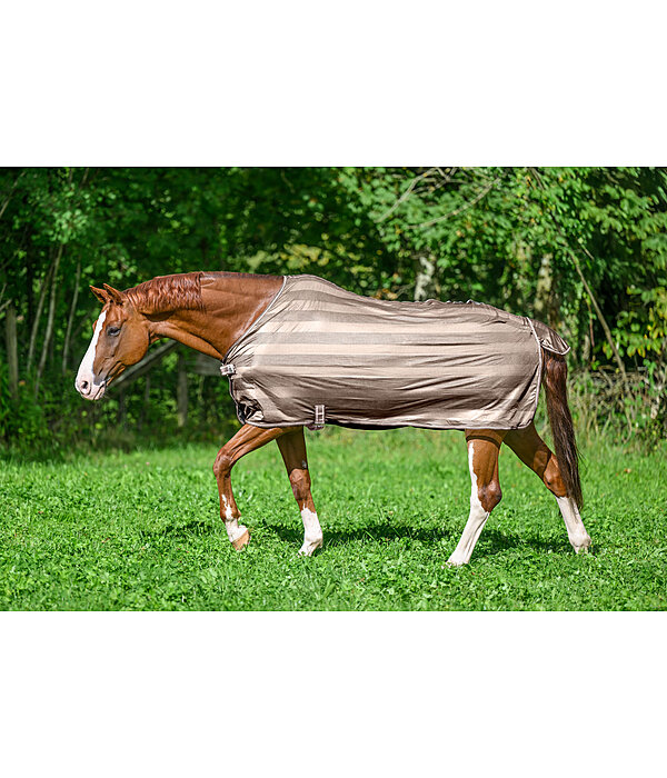 Fly Rug Economy Light