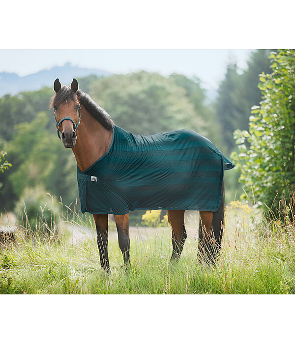 Fly Rug Economy Light