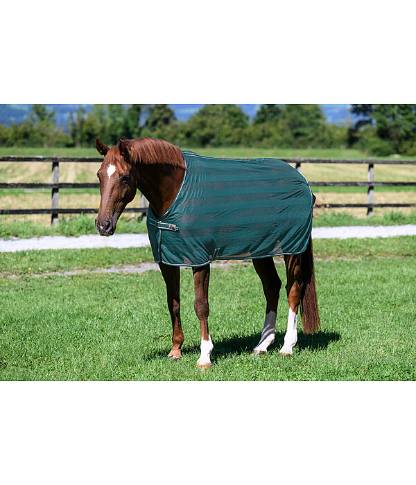 Fly Rug Economy Light