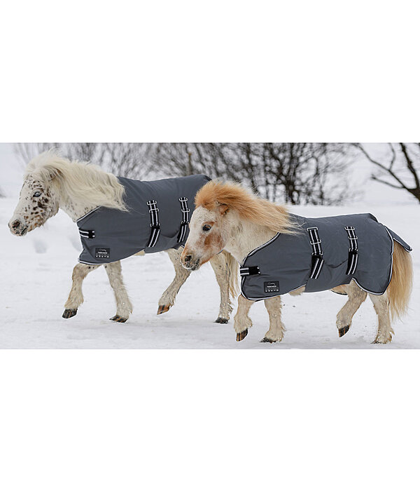 Foal and Shetland Pony Turnout Rug Kubi, 0g
