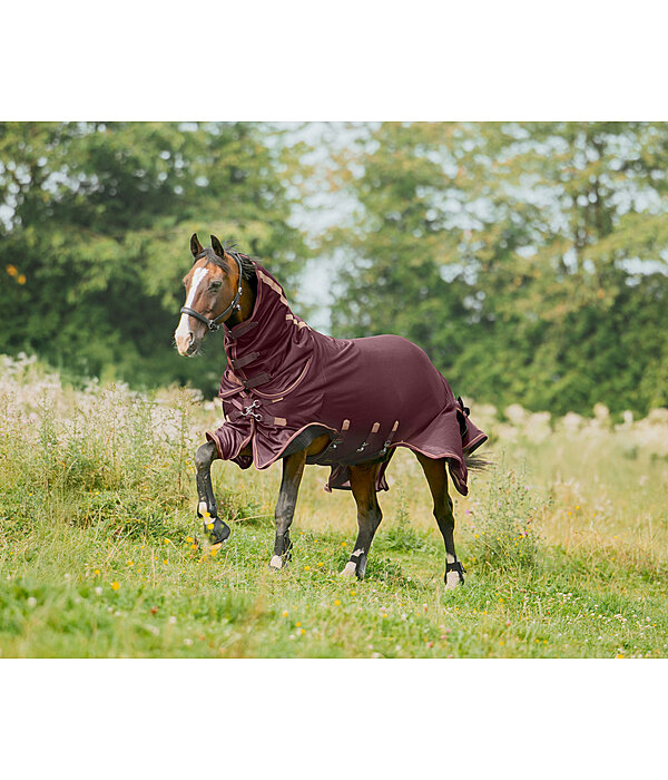 Full Neck Fly Rug Timeless Elegance with Detachable Neck Piece