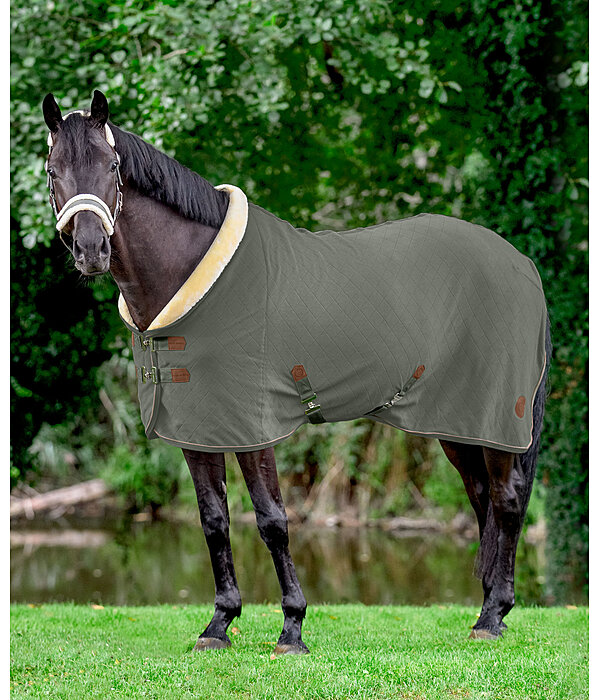 Fleece Wicking Rug Timeless Elegance with Teddy Fleece Collar