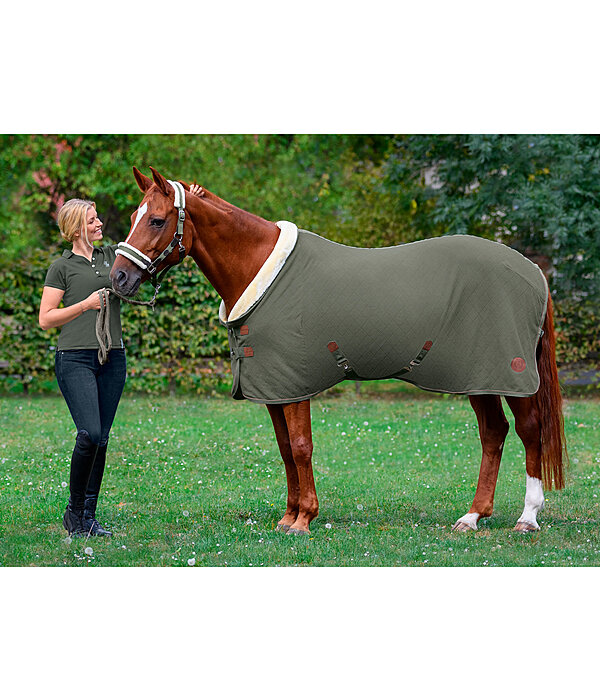 Fleece Wicking Rug Timeless Elegance with Teddy Fleece Collar