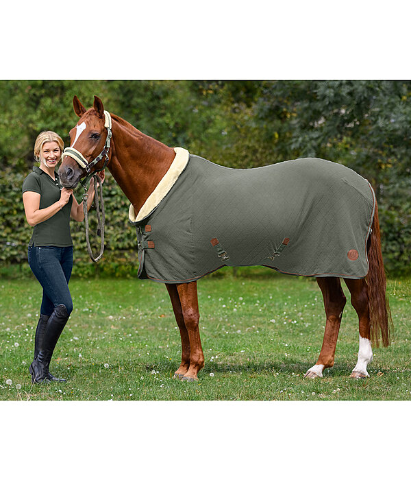 Fleece Wicking Rug Timeless Elegance with Teddy Fleece Collar