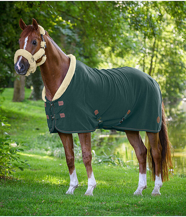 Fleece Wicking Rug Timeless Elegance with Teddy Fleece Collar