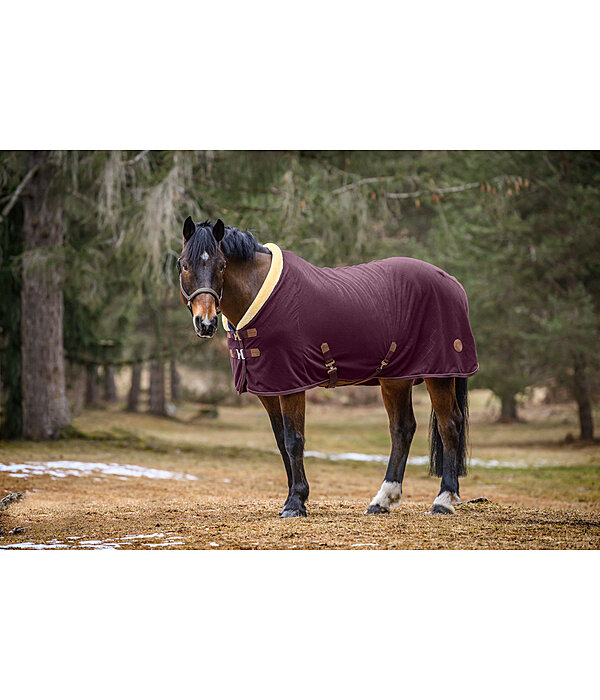 Fleece Wicking Rug Timeless Elegance with Teddy Fleece Collar