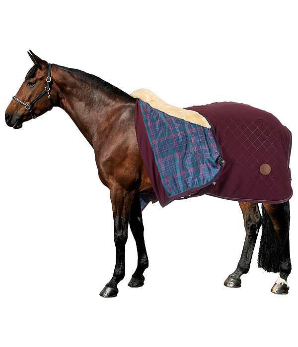 Fleece Wicking Rug Timeless Elegance with Teddy Fleece Collar