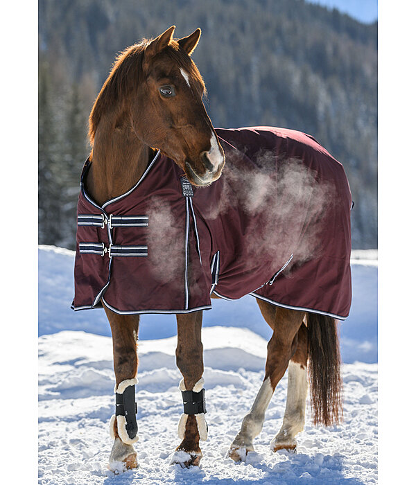 Turnout Rug Kadir IV, 100g