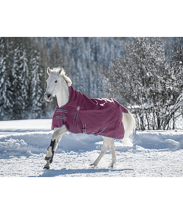 High Neck Turnout Rug Kalina II, 200g