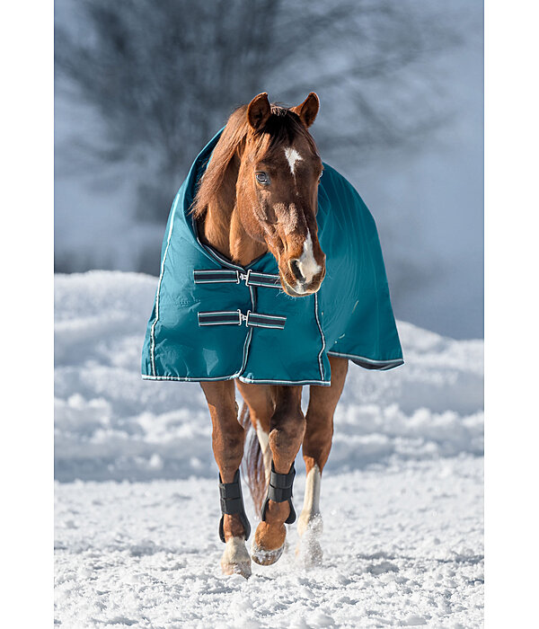 High Neck Turnout Rug Kalina II, 200g