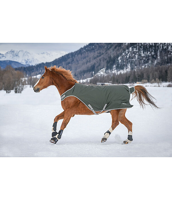 Turnout Walker Rug Kasimo II, 0g