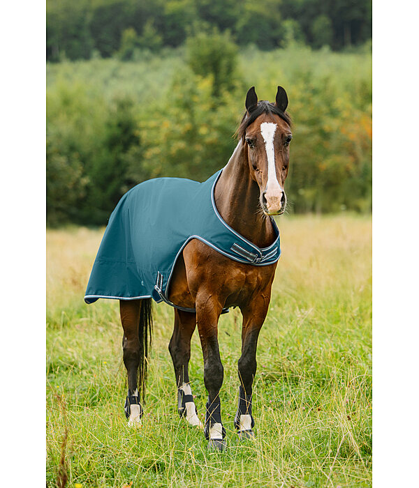 Turnout Walker Rug Kasimo II, 0g