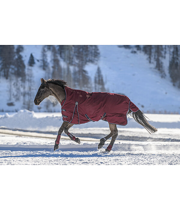 High Neck Turnout Rug Jesco II With Fleece Lining, 0g