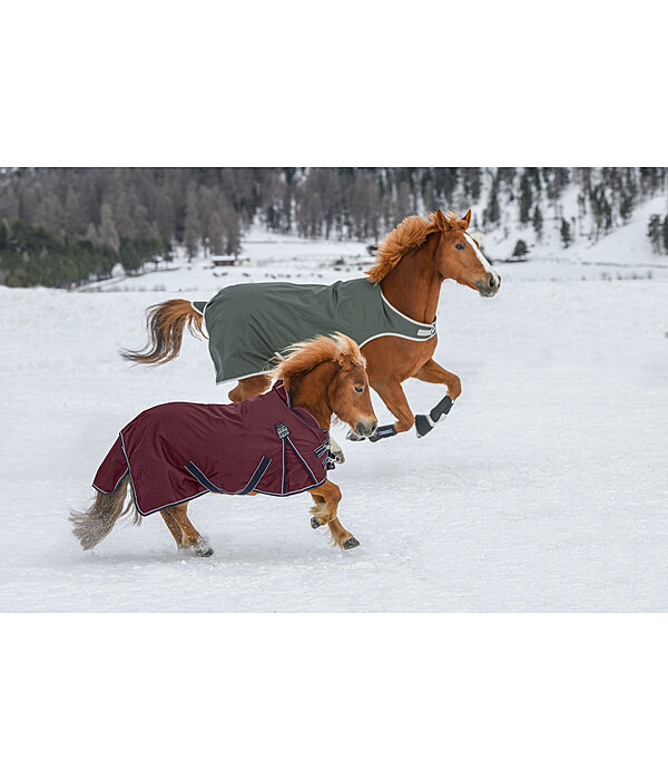 High Neck Turnout Rug Jesco II With Fleece Lining, 0g