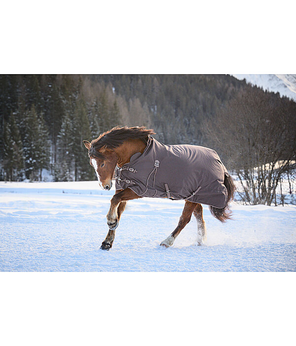 High Neck Turnout Rug Jesco II With Fleece Lining, 100g