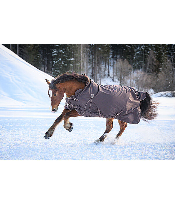 High Neck Turnout Rug Jesco II With Fleece Lining, 100g