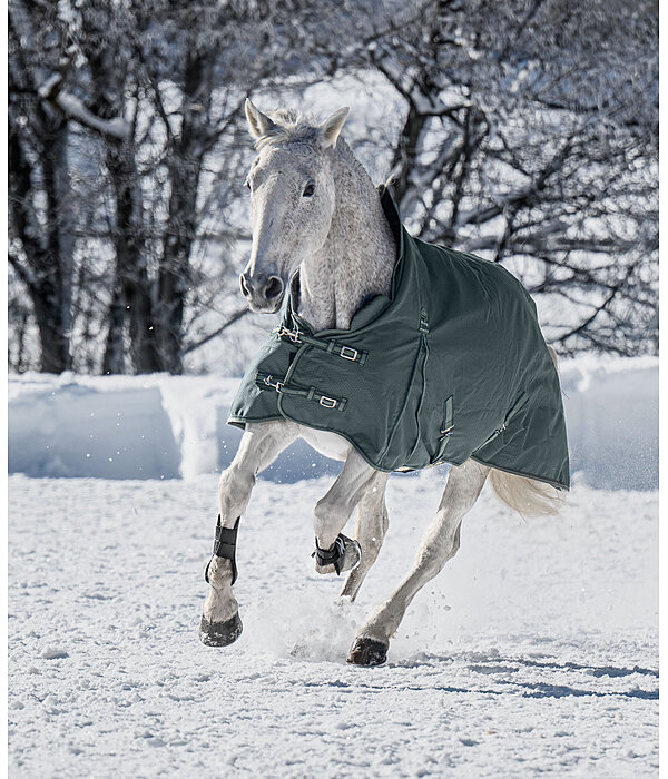 THERMO MASTER High Neck Turnout Rug Jesco II With Fleece Lining, 100g