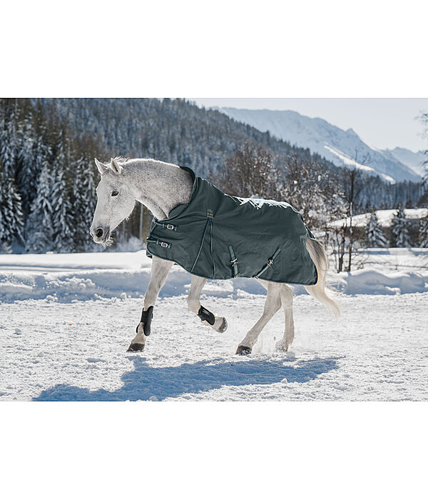 THERMO MASTER High Neck Turnout Rug Jesco II With Fleece Lining, 100g