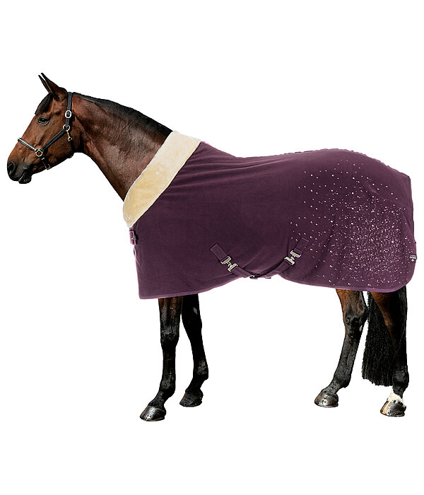 Functional Fleece Wicking Rug Sparkling II