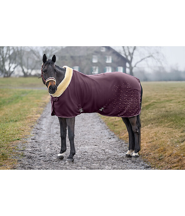 Functional Fleece Wicking Rug Sparkling II