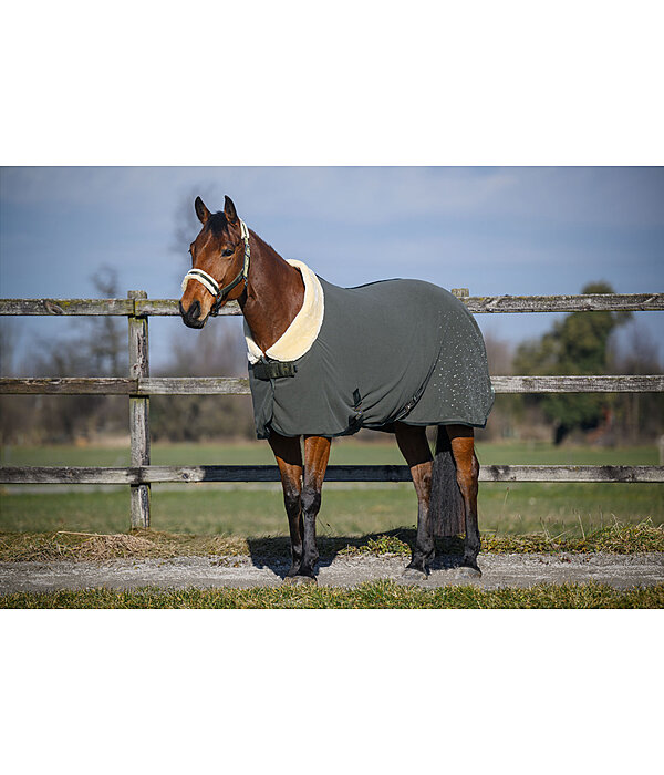 Functional Fleece Wicking Rug Sparkling II