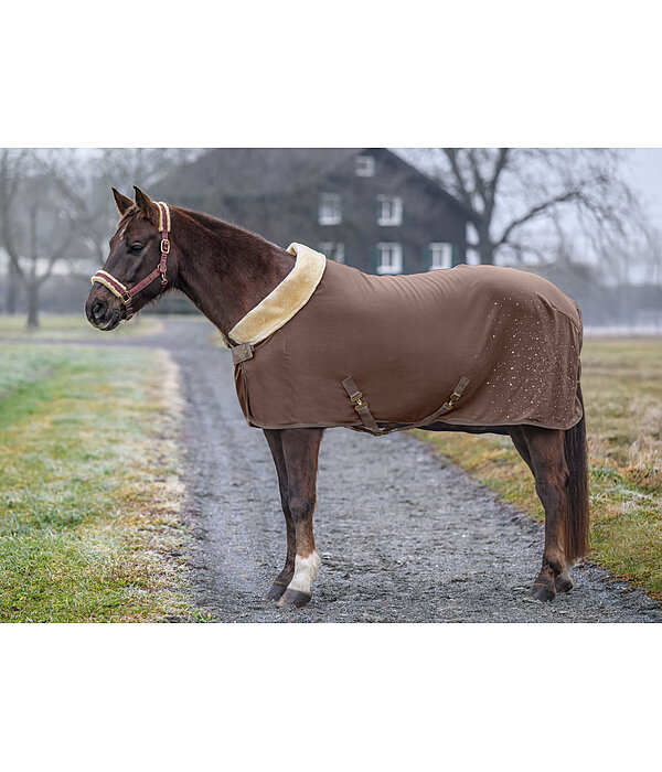 Functional Fleece Wicking Rug Sparkling II