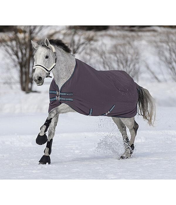 4 in 1 Regular Neck Turnout Rug with multi-layer system, 0-300g