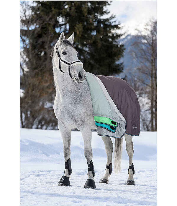 4 in 1 Regular Neck Turnout Rug with multi-layer system, 0-300g