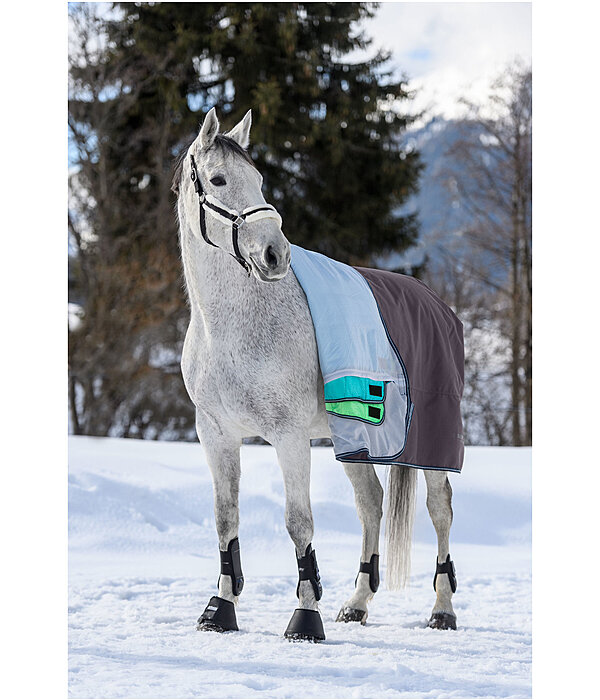 4 in 1 Highneck Turnout Rug with multi-layer system, 0-300g