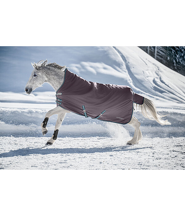 4 in 1 Highneck Turnout Rug with multi-layer system, 0-300g