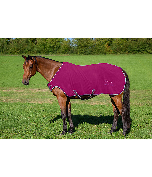 Fleece Walker Rug Activity