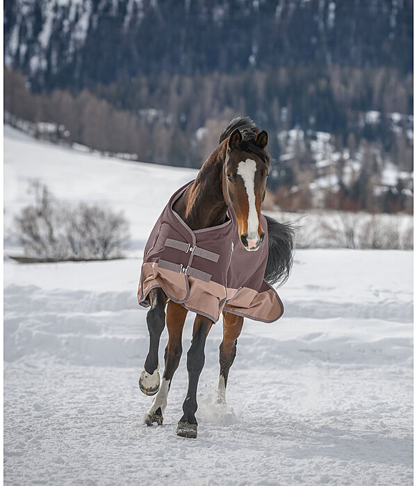 Regular Neck Turnout Rug Aidan, 50g