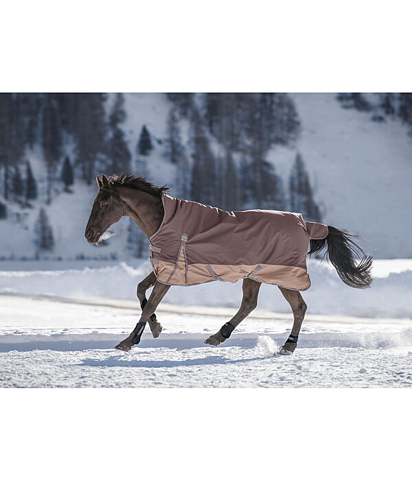 High Neck Turnout Rug Abegail, 50g