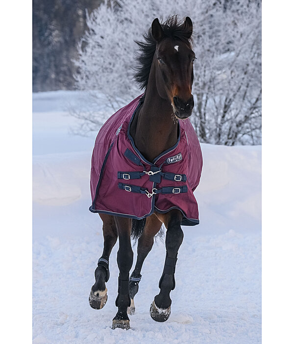 Regular Neck Turnout Rug Perfect Fit, 0g