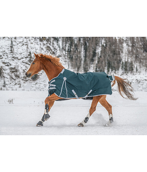 Regular Neck Turnout Rug Perfect Fit, 200g