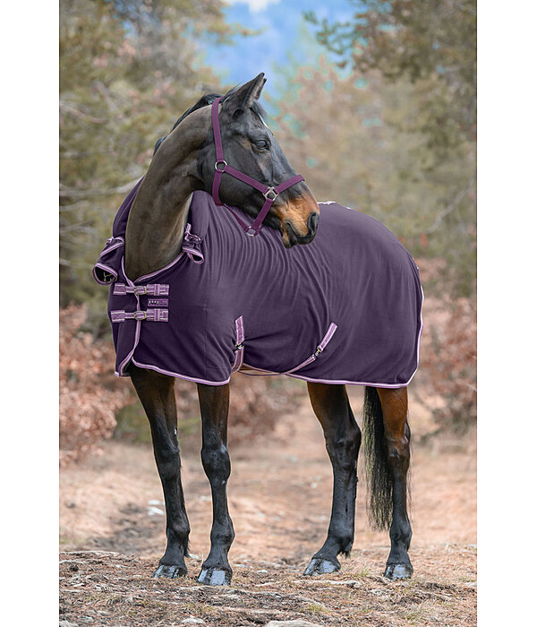 Fleece Rug Activity with Roll-up Neck Piece