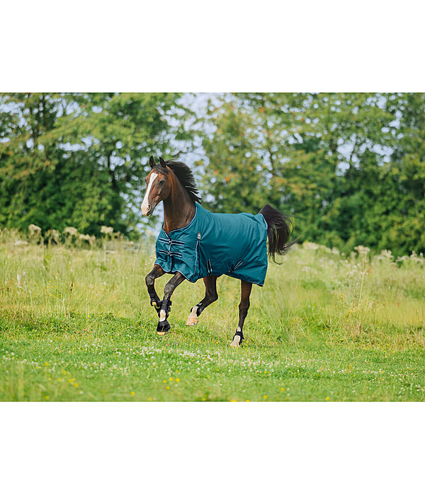 Turnout Rug Kadir IV, 50g