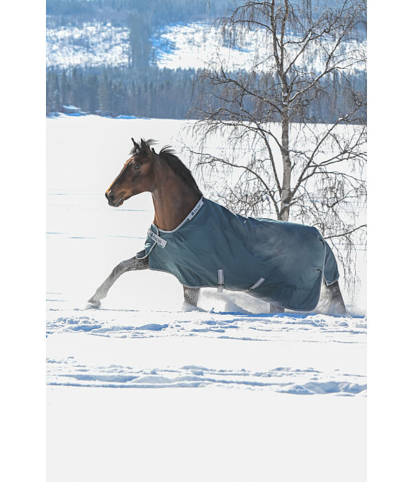 Turnout Rug Atlantic Turnout 50 Regular Neck with Dermo-Care, 50g