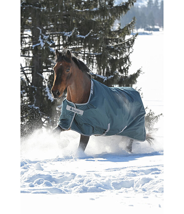 Turnout Rug Atlantic Turnout 50 Regular Neck with Dermo-Care, 50g