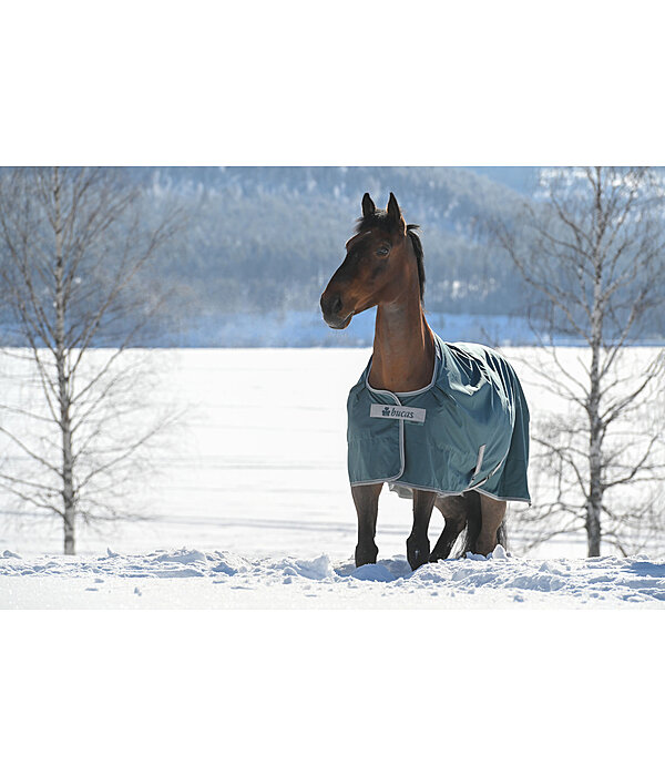 Turnout Rug Atlantic Turnout 50 Regular Neck with Dermo-Care, 50g