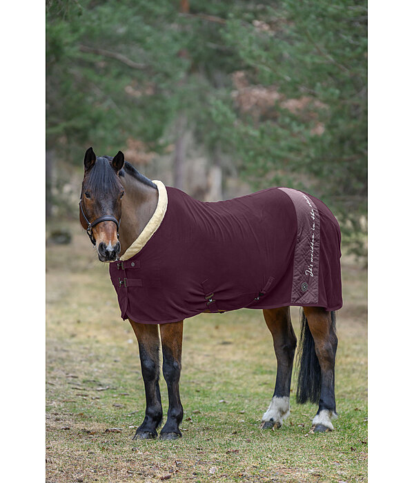 Collection Wicking Rug Astro