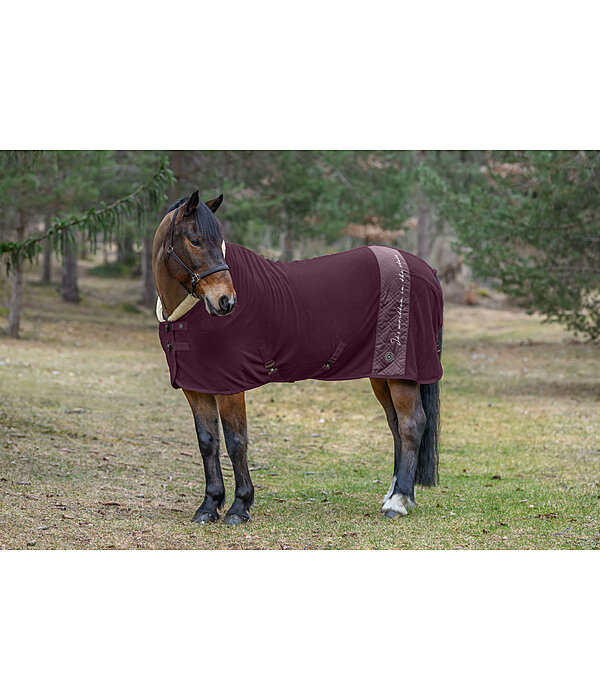 Collection Wicking Rug Astro