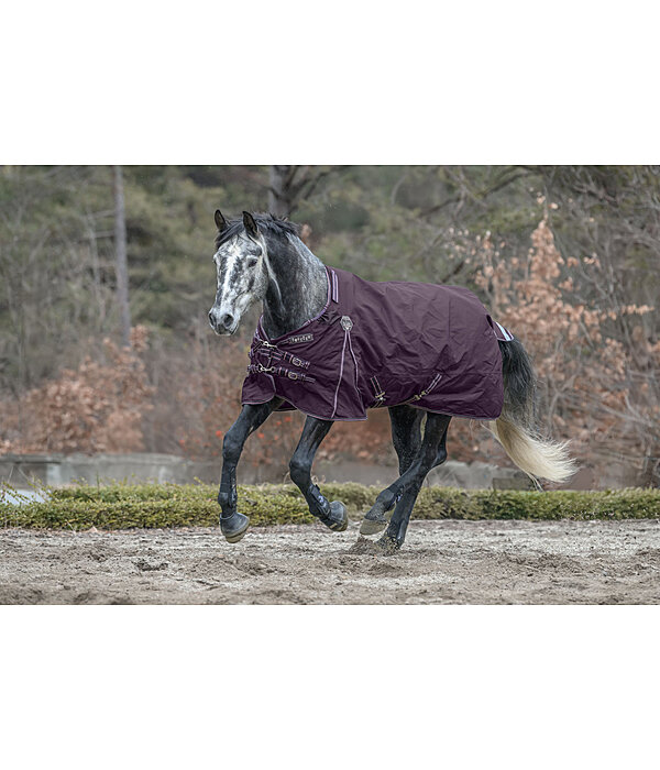 Regular Neck Turnout Rug Perfect Fit Nylon PRO, 0g