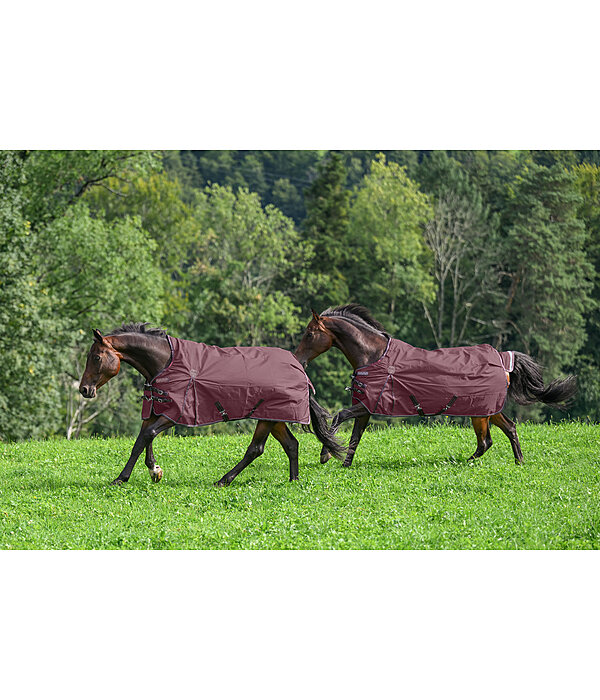 High Neck Turnout Rug Perfect Fit Nylon PRO, 0g