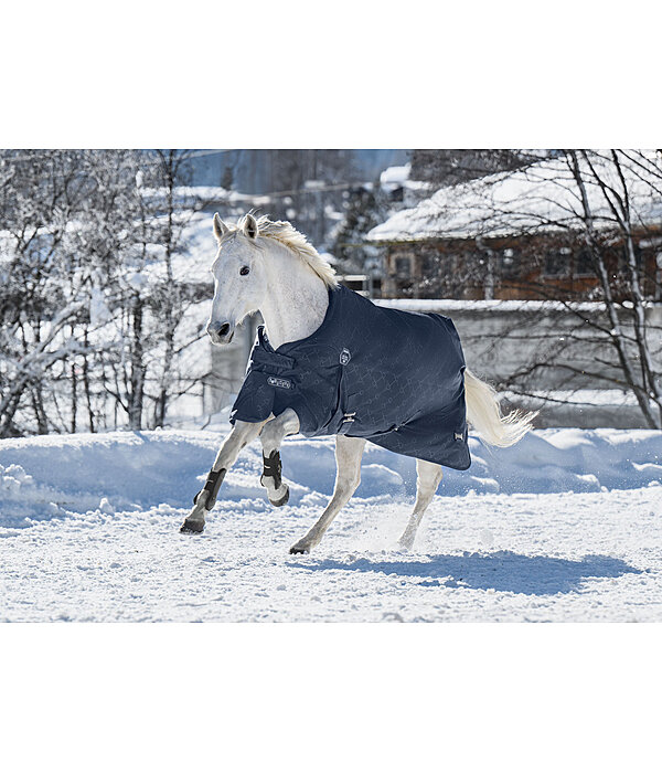 Regular Neck Collection Turnout Rug Signature II, 0g