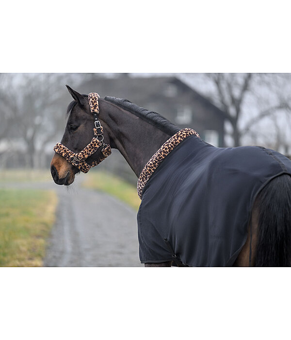 Fleece Rug with Teddy Fleece Collar Leo