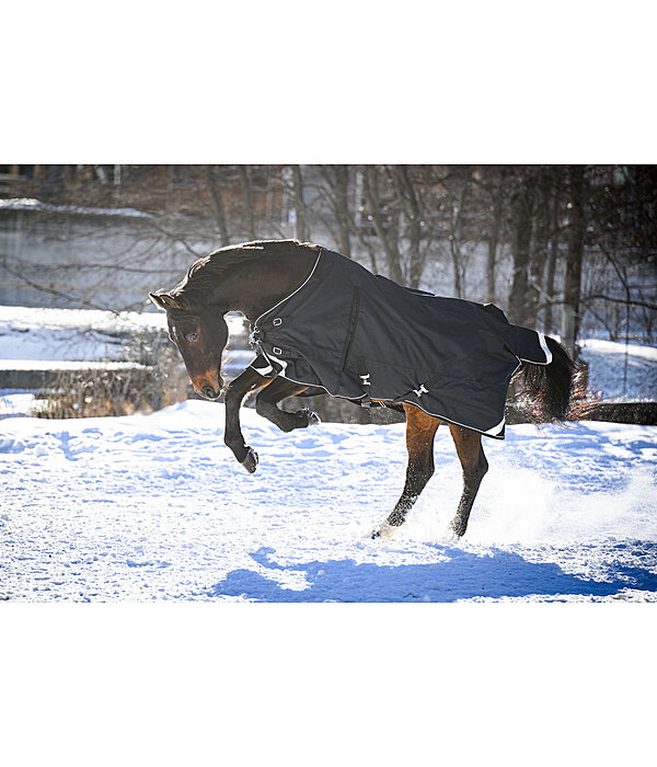 Regular Neck Turnout Rug Liberty II with Liner System, 0g
