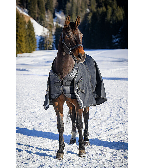Regular Neck Turnout Rug Liberty II with Liner System, 0g