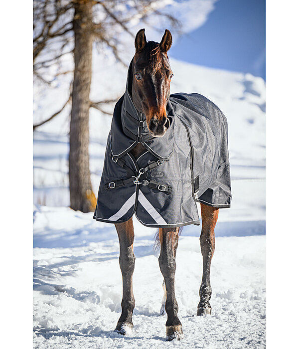 Regular Neck Turnout Rug Liberty II with Liner System, 0g
